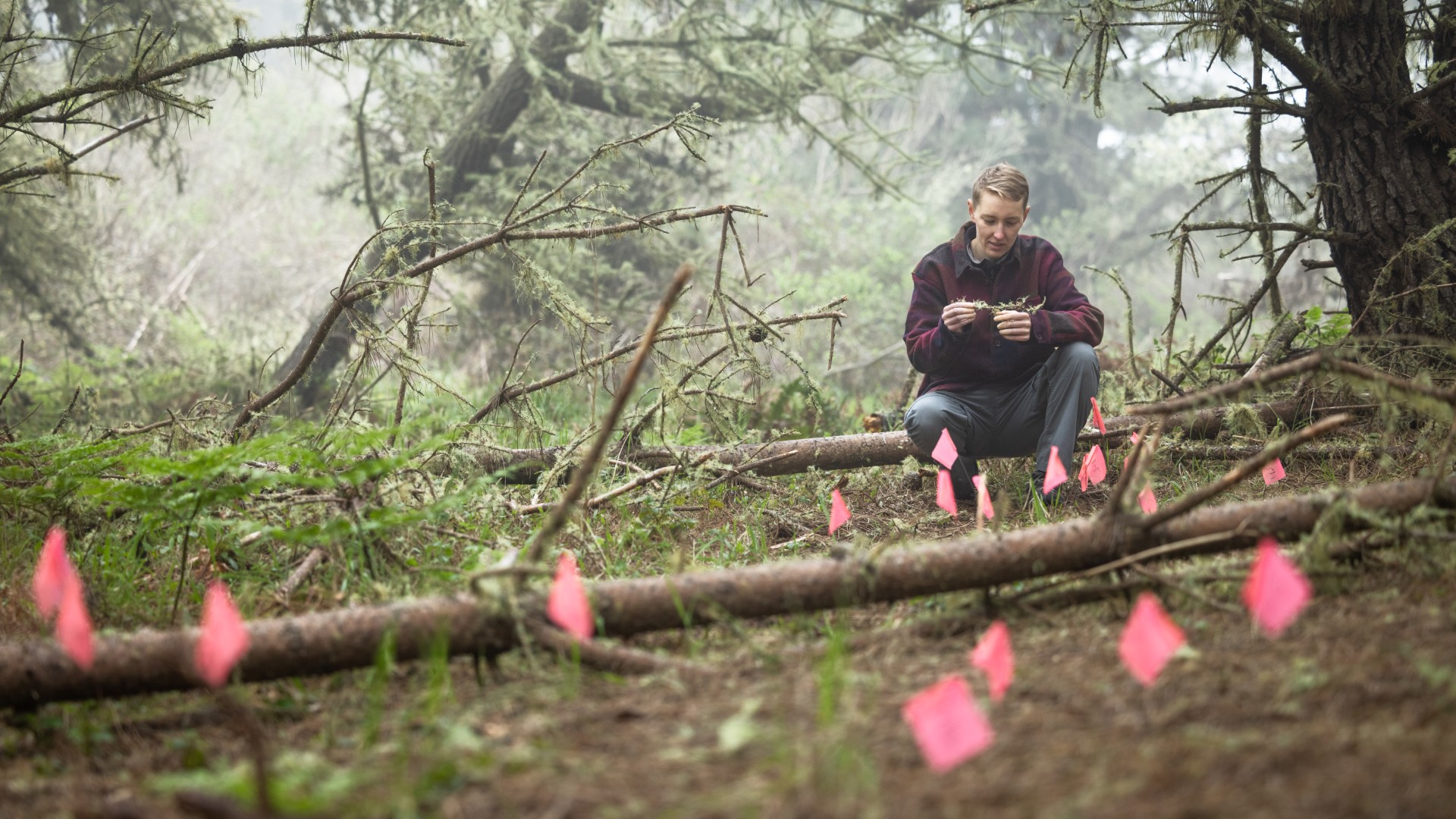 2023 Fellow Bertie Ansell conducting field work at Point Reyes, California